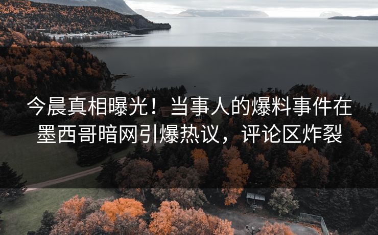 今晨真相曝光！当事人的爆料事件在墨西哥暗网引爆热议，评论区炸裂
