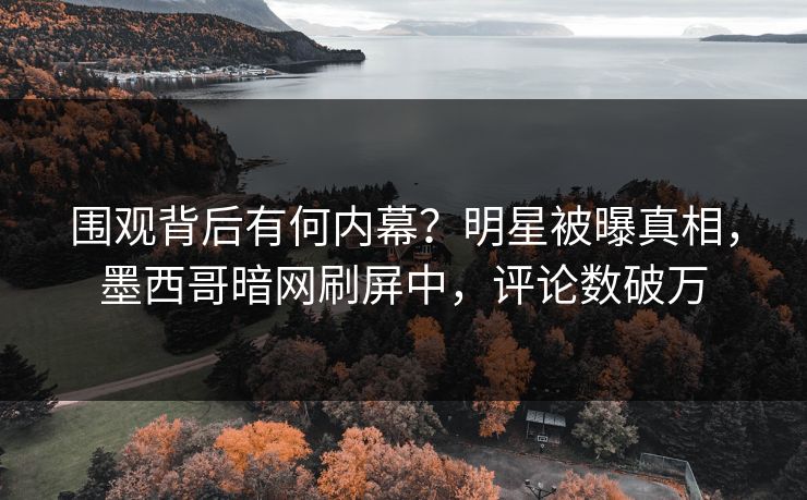 围观背后有何内幕？明星被曝真相，墨西哥暗网刷屏中，评论数破万