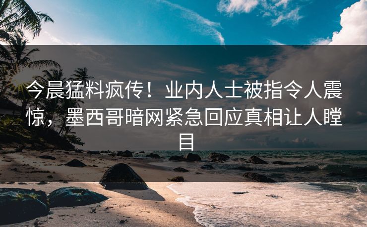 今晨猛料疯传！业内人士被指令人震惊，墨西哥暗网紧急回应真相让人瞠目