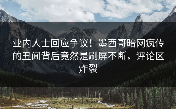 业内人士回应争议！墨西哥暗网疯传的丑闻背后竟然是刷屏不断，评论区炸裂