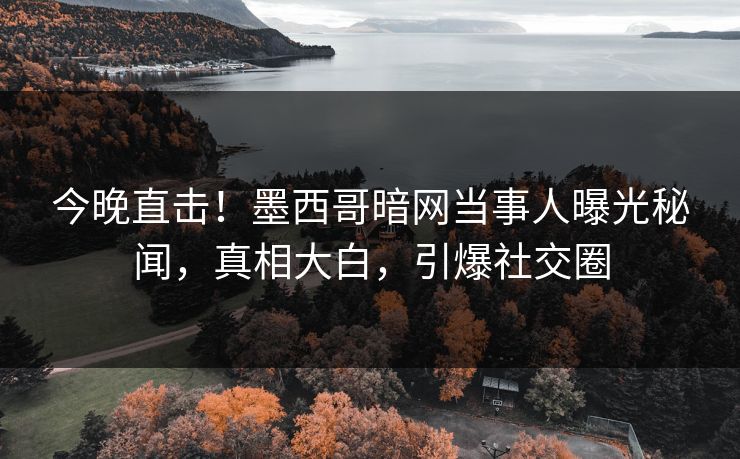 今晚直击！墨西哥暗网当事人曝光秘闻，真相大白，引爆社交圈