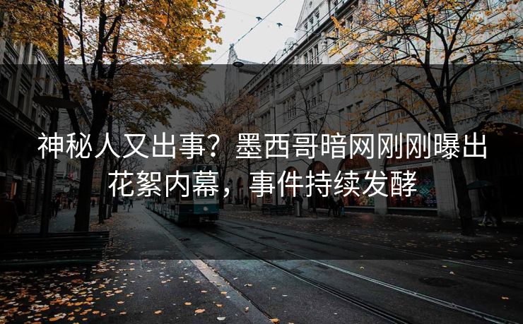 神秘人又出事？墨西哥暗网刚刚曝出花絮内幕，事件持续发酵