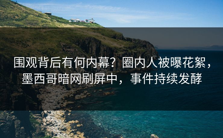 围观背后有何内幕？圈内人被曝花絮，墨西哥暗网刷屏中，事件持续发酵
