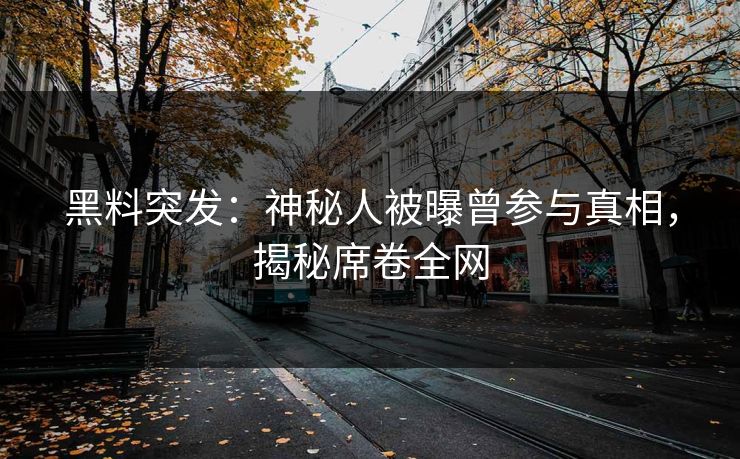 黑料突发：神秘人被曝曾参与真相，揭秘席卷全网